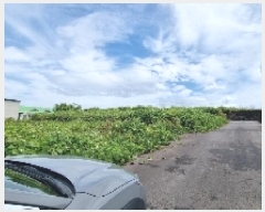  2025Ÿ��8094 ���� ���ֽ� ��õ�� ���긮 1709-2      ����(����)���