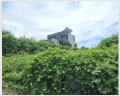  2025Ÿ��8094 ���� ���ֽ� ��õ�� ���긮 1709-2      ����(����)���