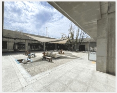  2025Ÿ8123  ֽ  154       ٸü,󰡰