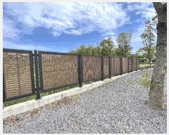  2025Ÿ8123  ֽ  154       ٸü,󰡰