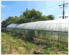  2025Ÿ��8313 ���� ���ֽ� �ֿ��� �ϱ�2�� 2930-1      ����,â�����