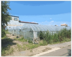  2025Ÿ��8313 ���� ���ֽ� �ֿ��� �ϱ�2�� 2930-1      ����,â�����