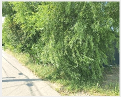  2025Ÿ��8313 ���� ���ֽ� �ֿ��� �ϱ�2�� 2930-1      ����,â�����