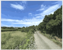  2025Ÿ��8322 ���� ���ֽ� �Ѹ��� ������ 317      ����(�Ӿ�)���