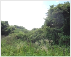  2025Ÿ��8322 ���� ���ֽ� �Ѹ��� ������ 317      ����(�Ӿ�)���