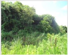  2025Ÿ��8322 ���� ���ֽ� �Ѹ��� ������ 317      ����(�Ӿ�)���