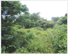  2025Ÿ��8322 ���� ���ֽ� �Ѹ��� ������ 317      ����(�Ӿ�)���