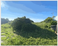  2025Ÿ��8404  �������