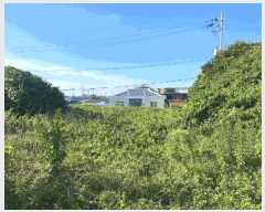  2025Ÿ��8404  �������