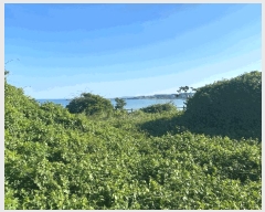  2025Ÿ��8404  �������