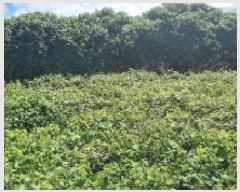  2025Ÿ��8404  �������