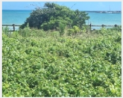  2025Ÿ��8404  �������