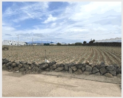  2025Ÿ��8720  �Ӿ߰��