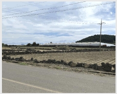  2025Ÿ��8720  �Ӿ߰��