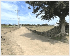  2025Ÿ��8720  �Ӿ߰��