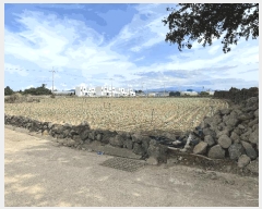  2025Ÿ��8720  �Ӿ߰��