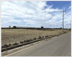  2025Ÿ��8720  �Ӿ߰��