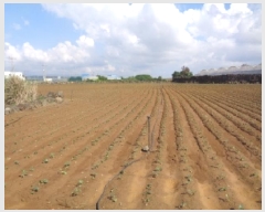  2025Ÿ��8720  �Ӿ߰��