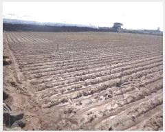  2025Ÿ��8720  �Ӿ߰��