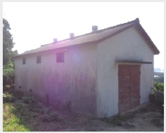  2025Ÿ��8776 ���� �������� ������ 1951       ����,â�����