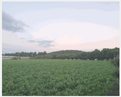  2025Ÿ��8956 ���� �������� ǥ���� ������ 985-2      ����(��1)���