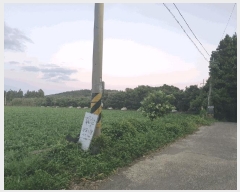  2025Ÿ��8956 ���� �������� ǥ���� ������ 985-2      ����(��1)���