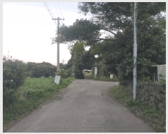  2025Ÿ��8956 ���� �������� ǥ���� ������ 985-2      ����(��1)���