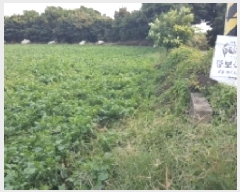  2025Ÿ��8956 ���� �������� ǥ���� ������ 985-2      ����(��1)���