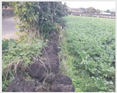  2025Ÿ��8956 ���� �������� ǥ���� ������ 985-2      ����(��1)���