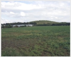  2025Ÿ��8956 ���� �������� ǥ���� ������ 985-2      ����(��1)���