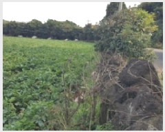  2025Ÿ��8956 ���� �������� ǥ���� ������ 985-2      ����(��1)���