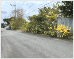  2025Ÿ��9082 ���� �������� ������ ������ 1270-2      ����(��1)���