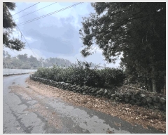  2025Ÿ��9090 ���� ���ֽ� �ֿ��� ������ 1505-1      ����(������)���