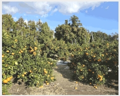  2025Ÿ��9163 ���� �������� ������ �Ϸʸ� 200-1      ����(������)���