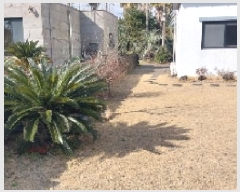  2025Ÿ91   ǥ ǥ 2498-11      ð