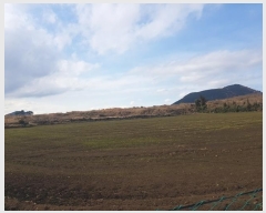  2025Ÿ206  ֽ  󵵸 1386      (Ӿ)