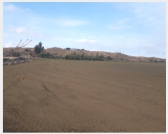  2025Ÿ206  ֽ  󵵸 1386      (Ӿ)