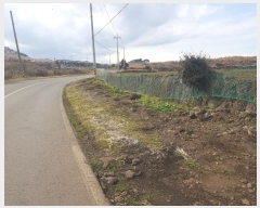  2025Ÿ206  ֽ  󵵸 1386      (Ӿ)