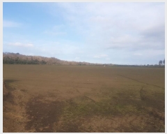  2025Ÿ206  ֽ  󵵸 1386      (Ӿ)