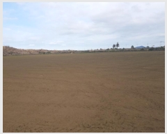  2025Ÿ206  ֽ  󵵸 1386      (Ӿ)