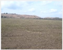  2025Ÿ206  ֽ  󵵸 1386      (Ӿ)