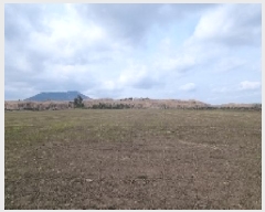  2025Ÿ206  ֽ  󵵸 1386      (Ӿ)