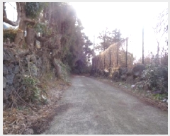  2025Ÿ275   ȯ 47       ,â