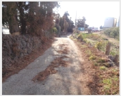  2025Ÿ275   ȯ 47       ,â