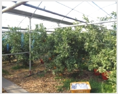  2025Ÿ275   ȯ 47       ,â