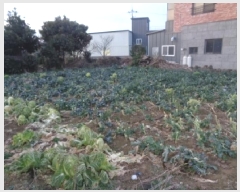  2025Ÿ374  ֽ ֿ  1969-9      ()