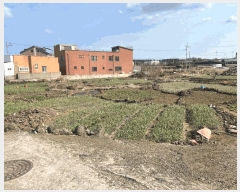  2025Ÿ459  ֽ  縮 2526-1      (1)