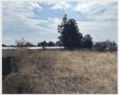  2025Ÿ459  ֽ  縮 2526-1      (1)