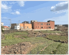  2025Ÿ459  ֽ  縮 2526-1      (1)