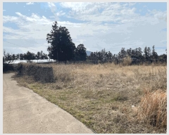  2025Ÿ459  ֽ  縮 2526-1      (1)